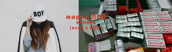 стаф Алексин