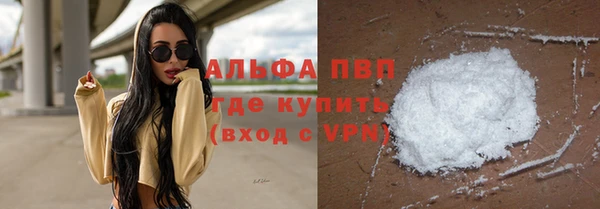 стаф Алексин