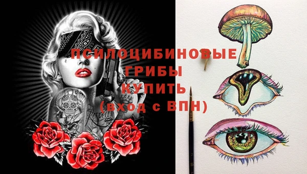 стаф Алексин