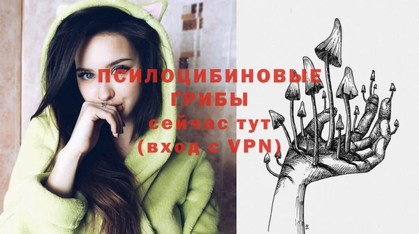 не бодяженный Абинск