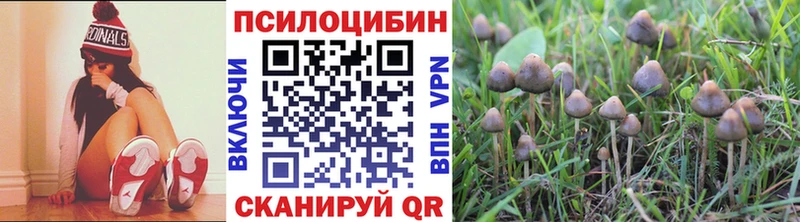 Галлюциногенные грибы прущие грибы  Калининград 