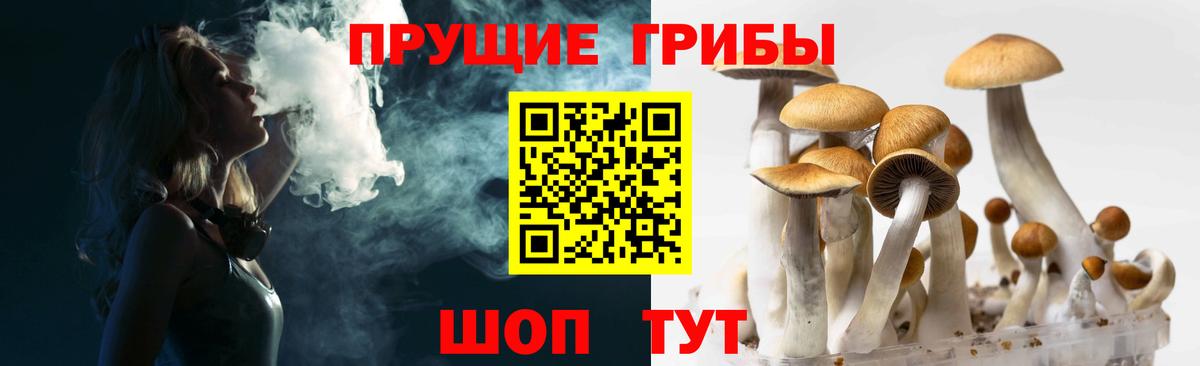 Галлюциногенные грибы мицелий Калининград